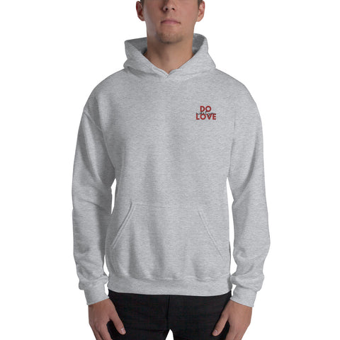 Do What You Love Hoodie (Classic/Loose Fit)