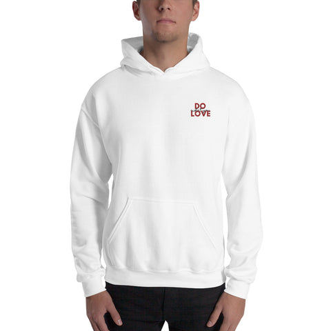 Do What You Love Hoodie (Classic/Loose Fit)